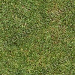 Seamless Grass